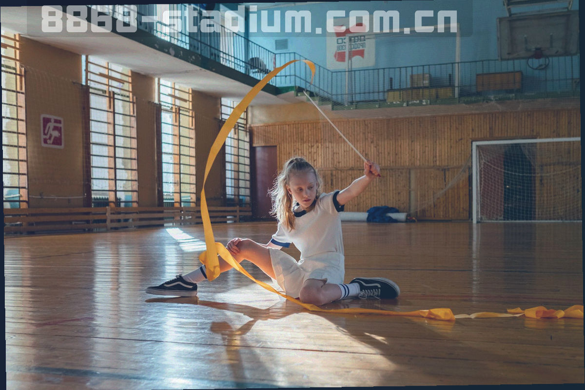 球门前射门起脚点位与六个区域划分的示意图形